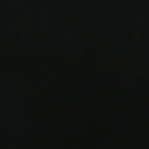 100% Organic Cotton Single Jersey - Black (2SP021)