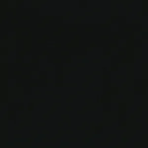 100% Organic Cotton Single Jersey - Black (2SP029)
