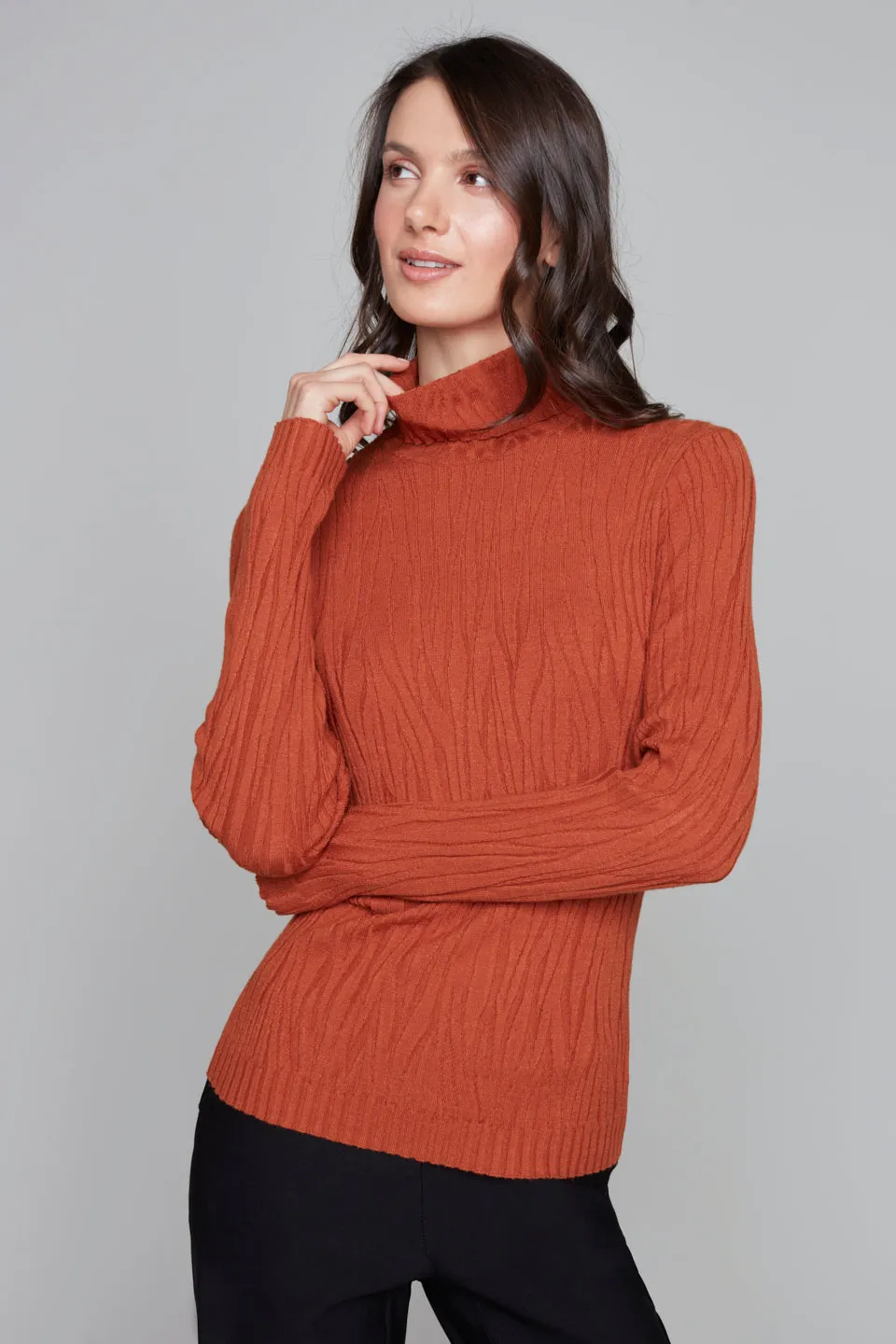 7509 - Jacquard Stretch Turtleneck