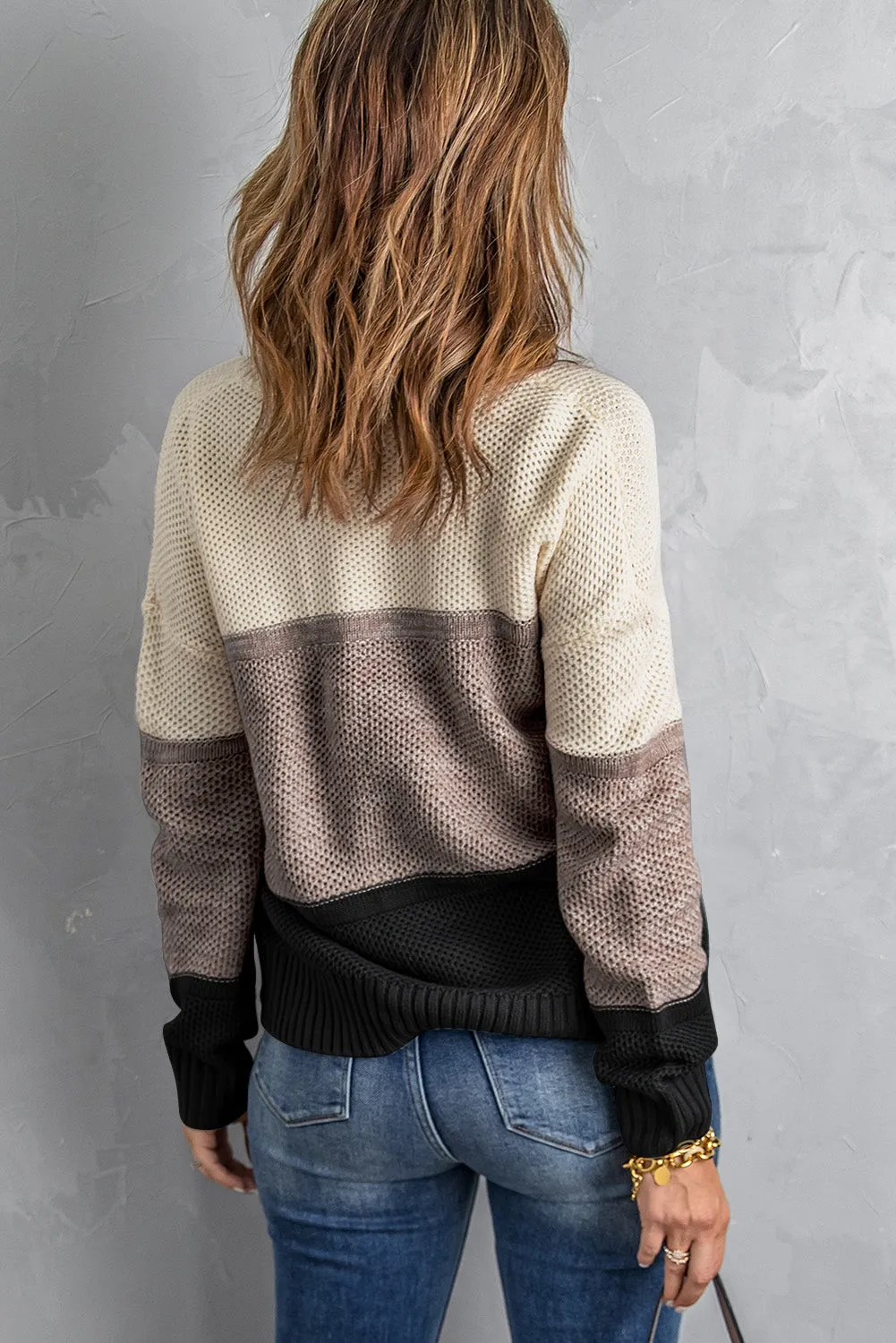 Black Color Block Netted Texture Pullover Sweater