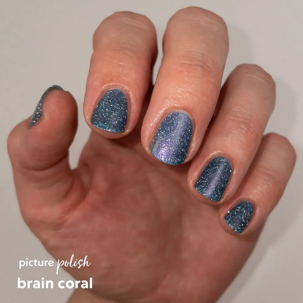 Brain Coral