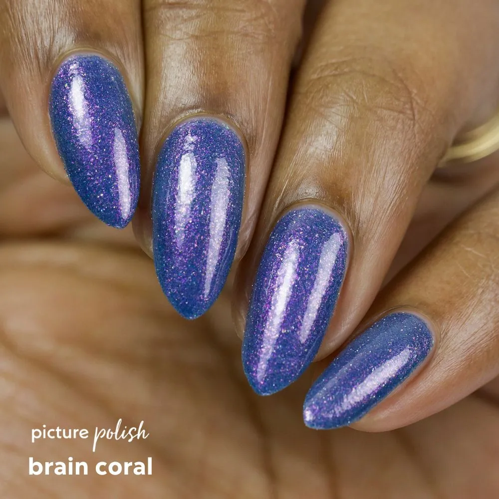Brain Coral