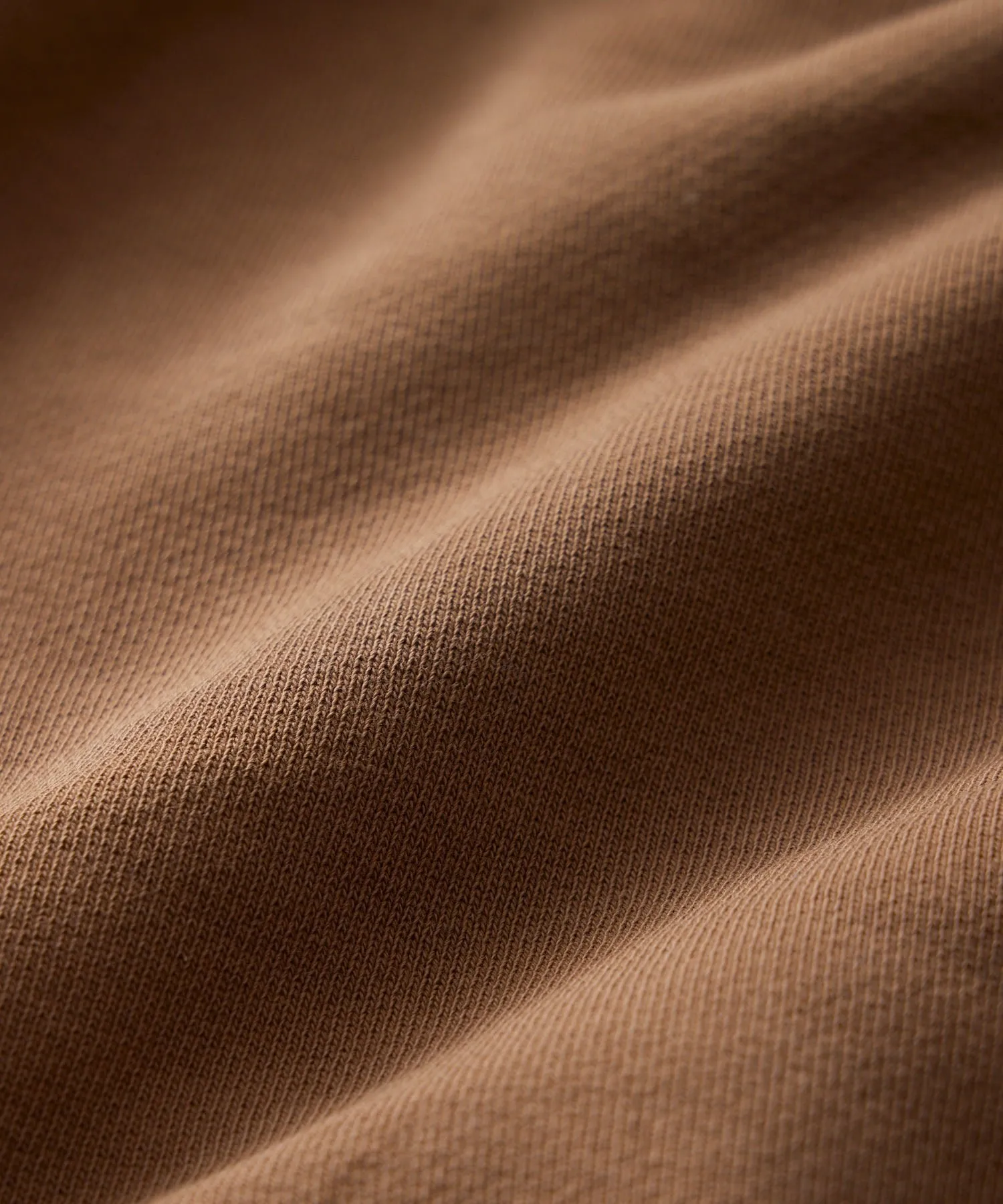 Champion Midweight Popover Hoodie Sweatshirt in Glazed Pecan