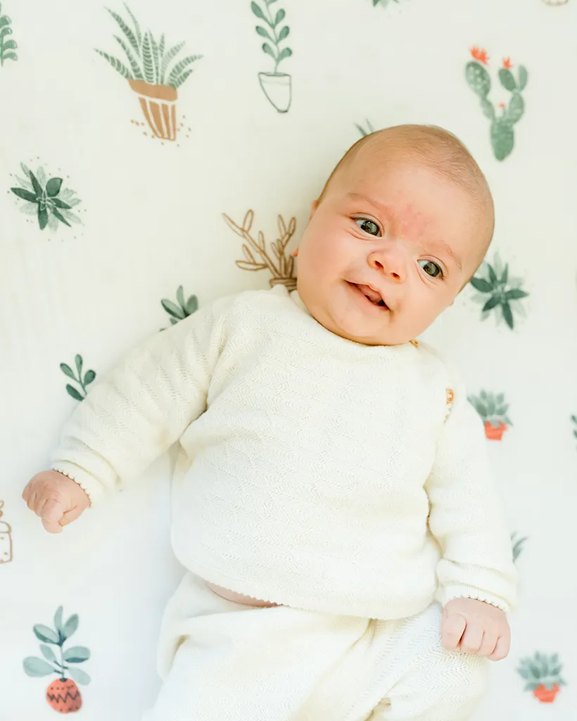 Cotton Muslin Mini Crib Sheets