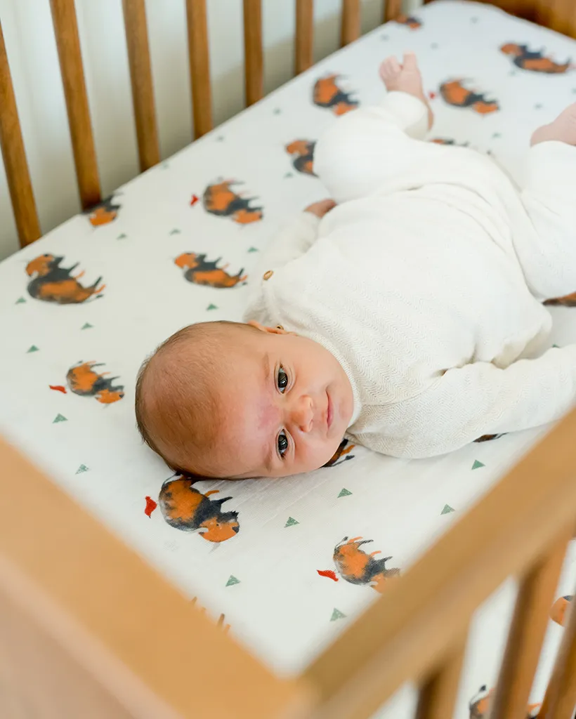 Cotton Muslin Mini Crib Sheets