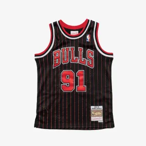Dennis Rodman Chicago Bulls 95-96 HWC Youth Swingman Jersey - Black