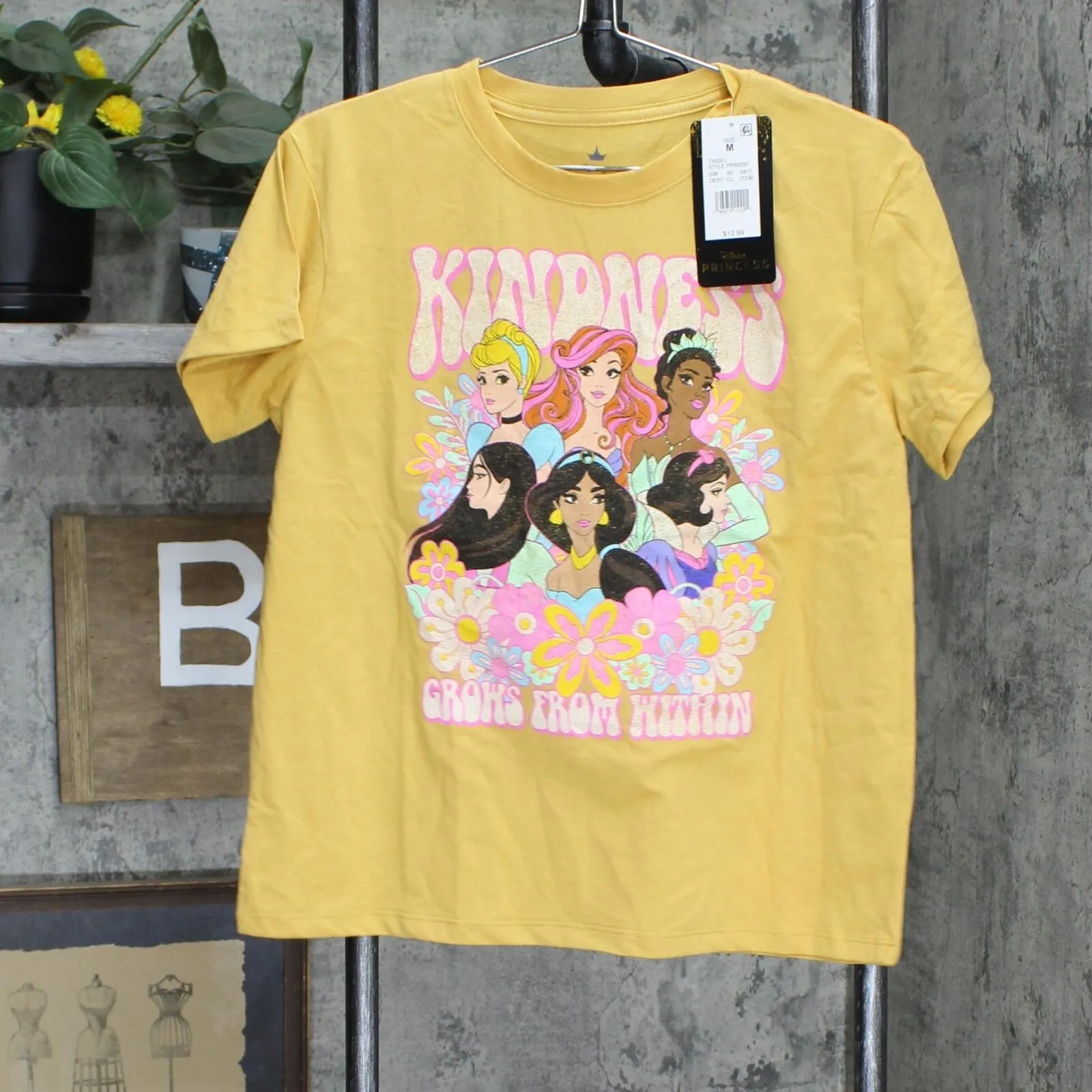 Disney Women's Princess Kindness Short Sleeve Graphic T-Shirt