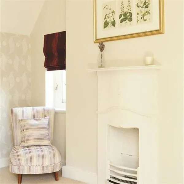 Farrow & Ball White Tie Paint 2002