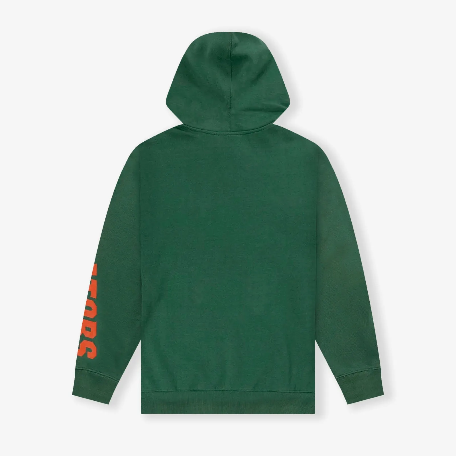 Florida Gators NCAA Puff Print Hoodie - Kelly Green