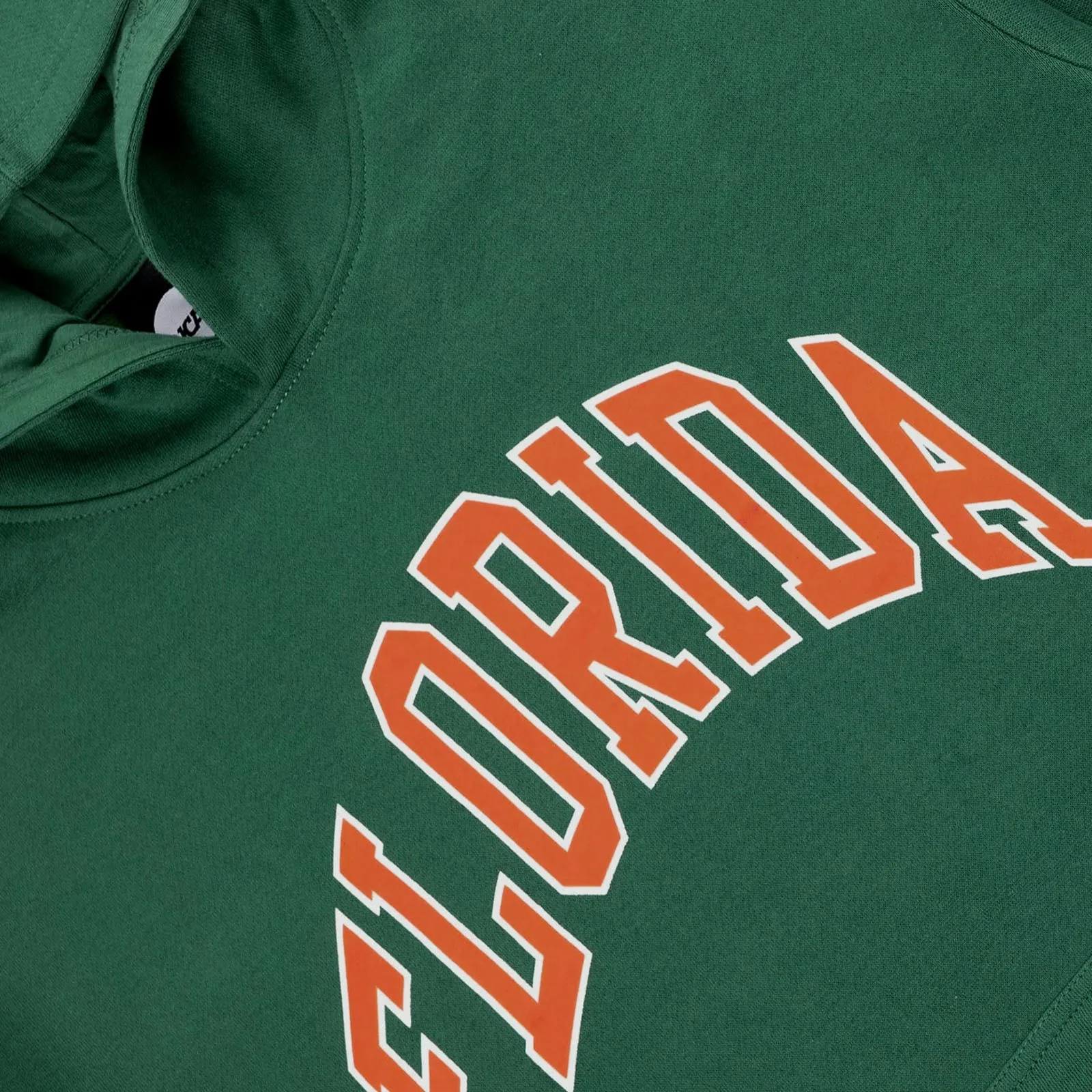 Florida Gators NCAA Puff Print Hoodie - Kelly Green