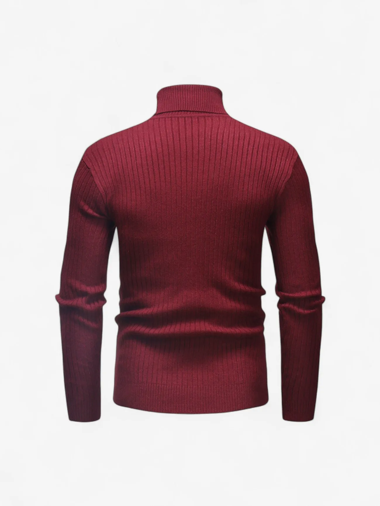 Foxes | Men’s Slim Fit Ribbed Knit Turtleneck Sweater Top