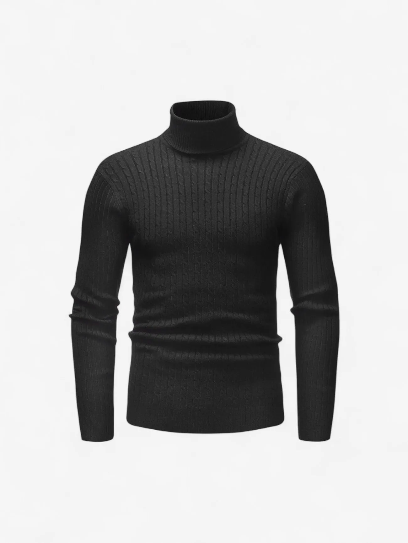 Foxes | Men’s Slim Fit Ribbed Knit Turtleneck Sweater Top