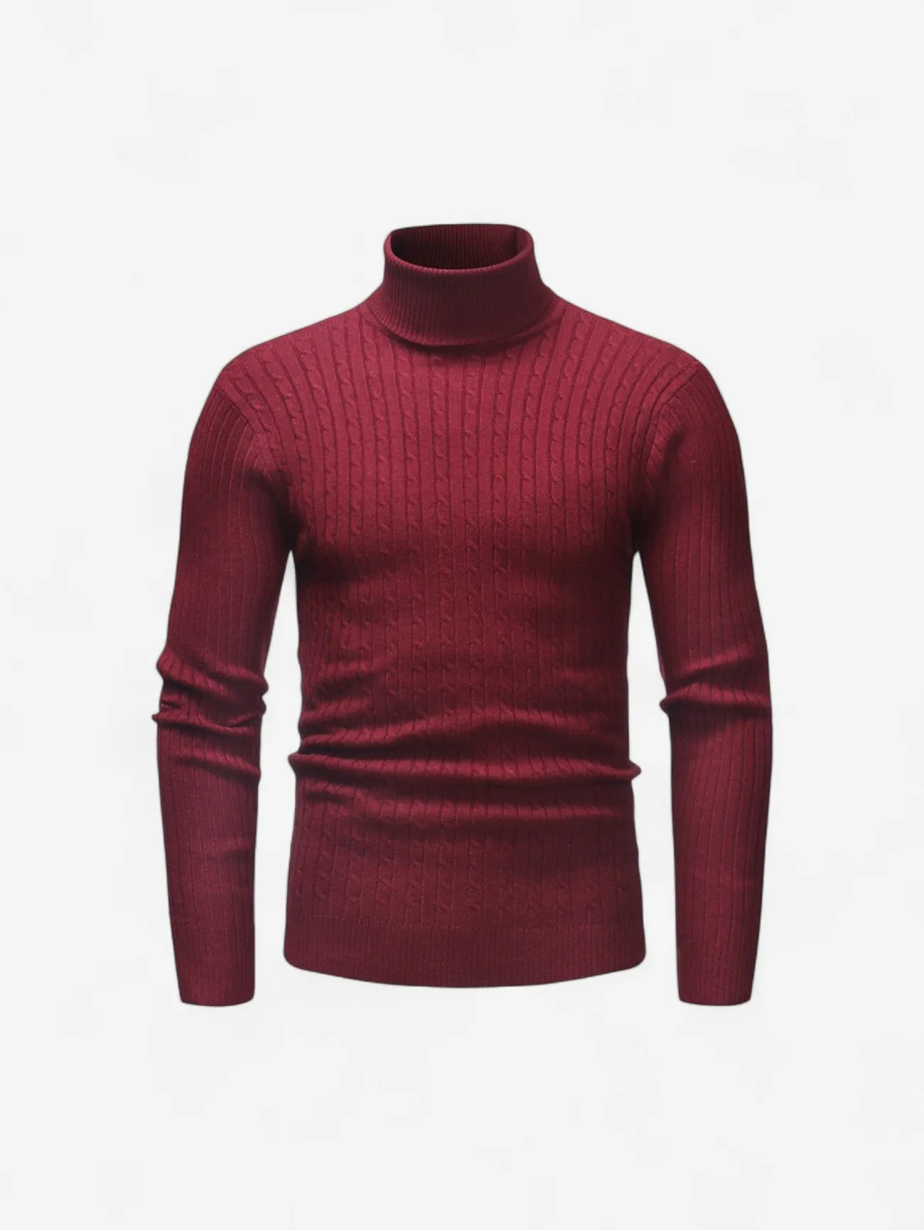 Foxes | Men’s Slim Fit Ribbed Knit Turtleneck Sweater Top