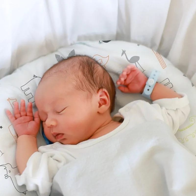 Percale Dream - Bassinet Sheets