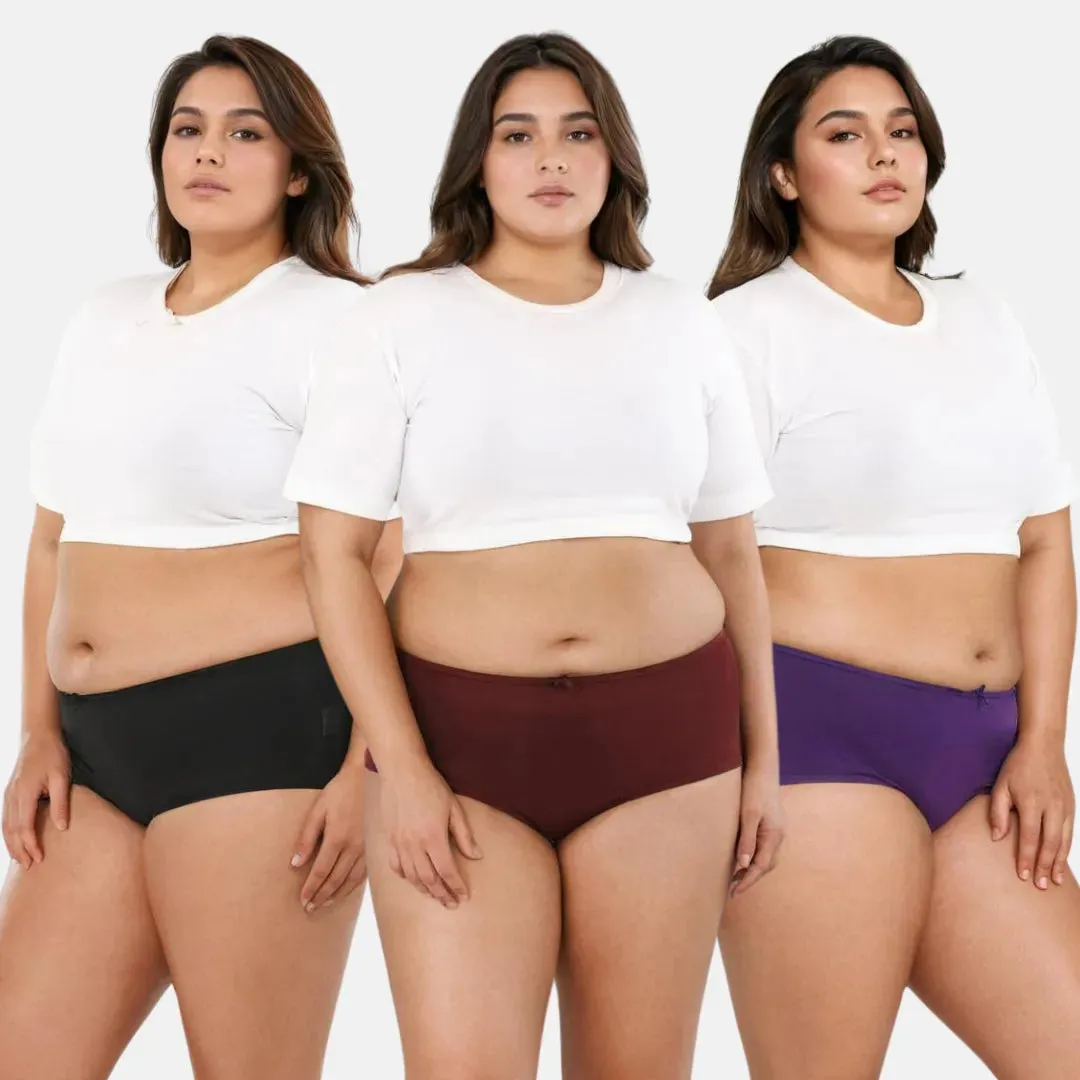 Plus Size BrZee Hipsters | Adaptive Stretch | Ultra-Light Fabric | No Visible Panty Lines | Pack Of 3