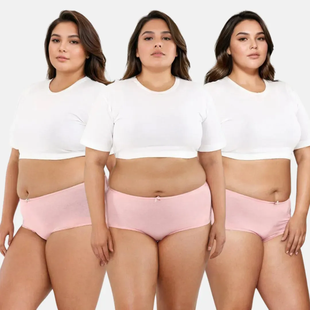 Plus Size BrZee Hipsters | Adaptive Stretch | Ultra-Light Fabric | No Visible Panty Lines | Pack Of 3