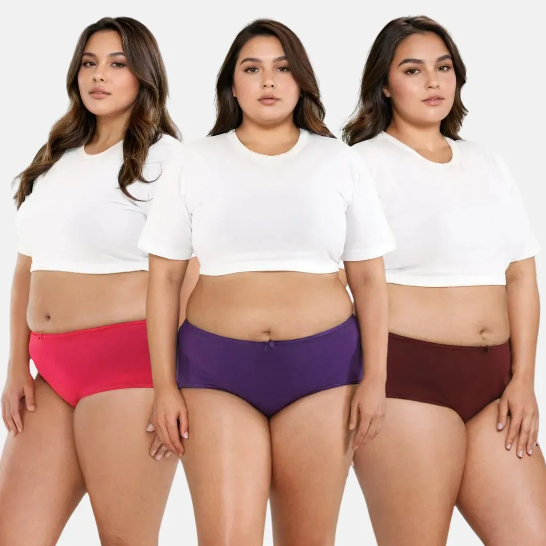 Plus Size BrZee Hipsters | Adaptive Stretch | Ultra-Light Fabric | No Visible Panty Lines | Pack Of 3