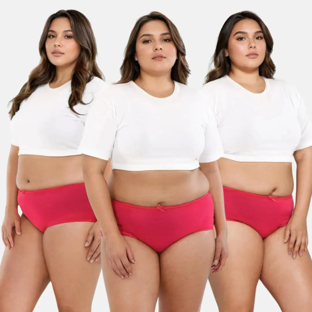 Plus Size BrZee Hipsters | Adaptive Stretch | Ultra-Light Fabric | No Visible Panty Lines | Pack Of 3