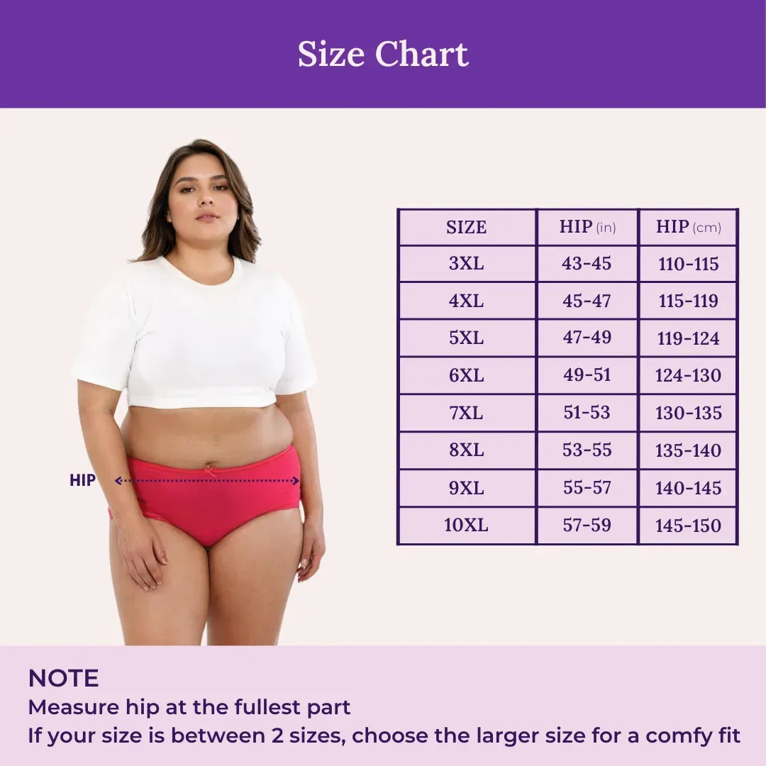 Plus Size BrZee Hipsters | Adaptive Stretch | Ultra-Light Fabric | No Visible Panty Lines | Pack Of 3