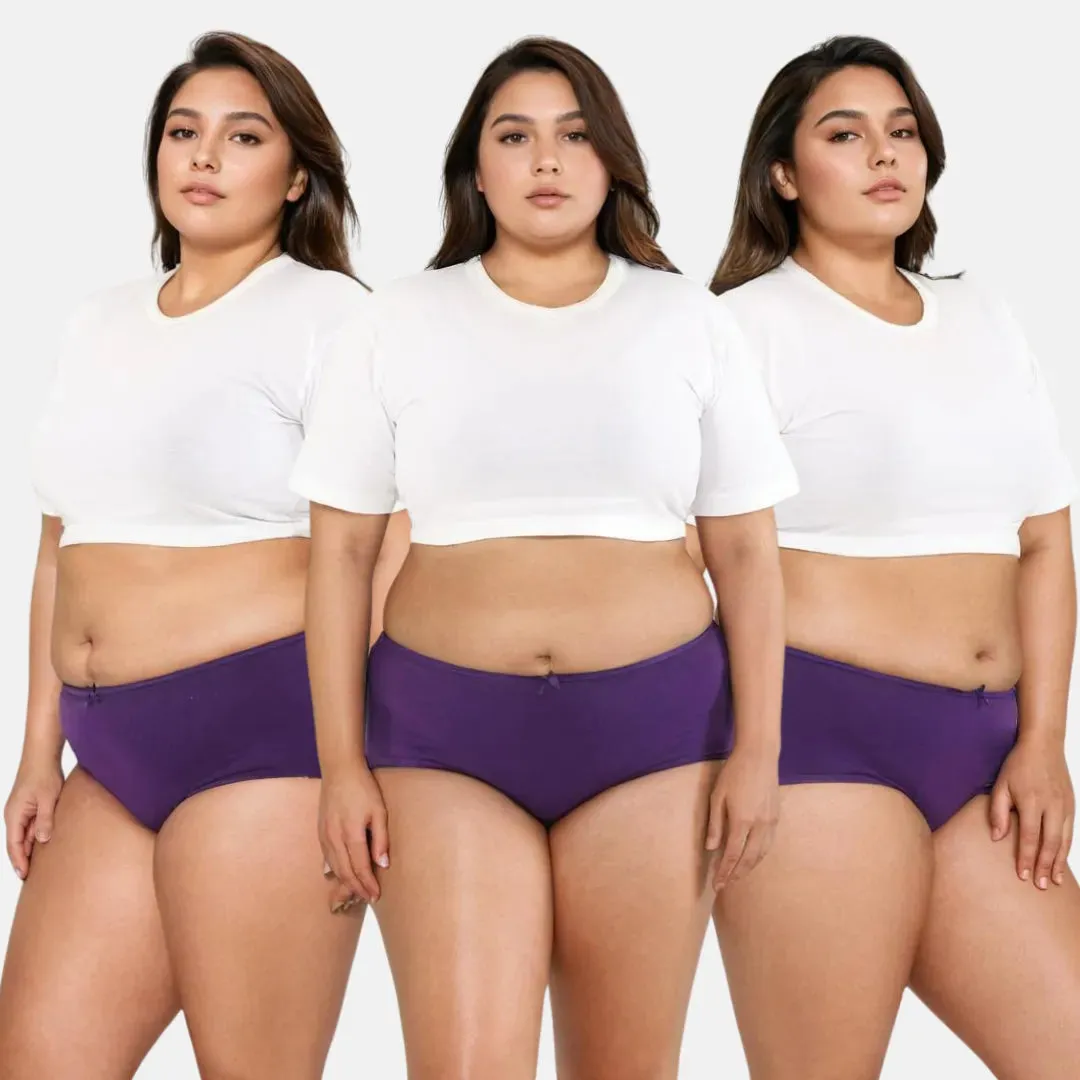 Plus Size BrZee Hipsters | Adaptive Stretch | Ultra-Light Fabric | No Visible Panty Lines | Pack Of 3