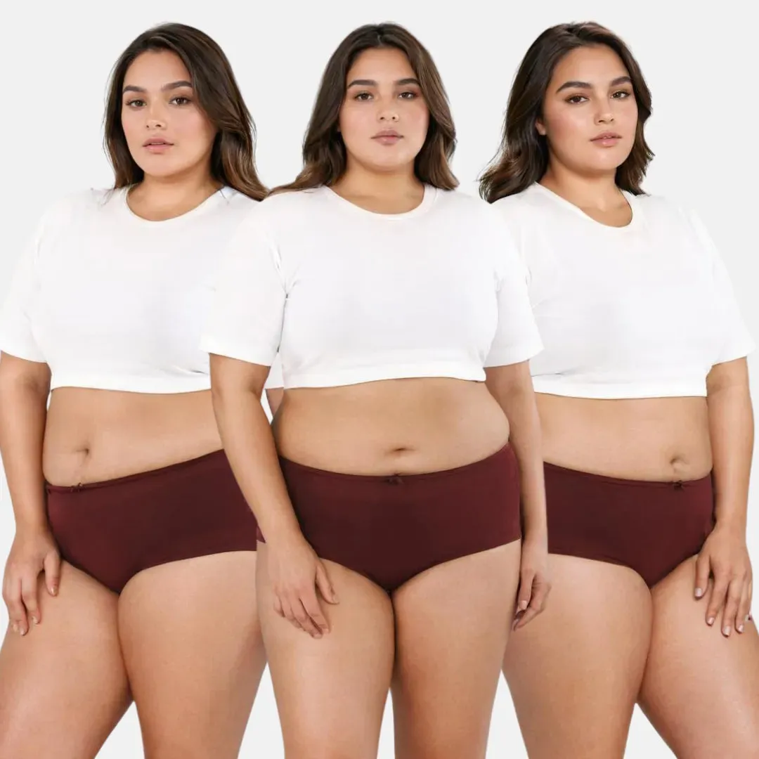 Plus Size BrZee Hipsters | Adaptive Stretch | Ultra-Light Fabric | No Visible Panty Lines | Pack Of 3