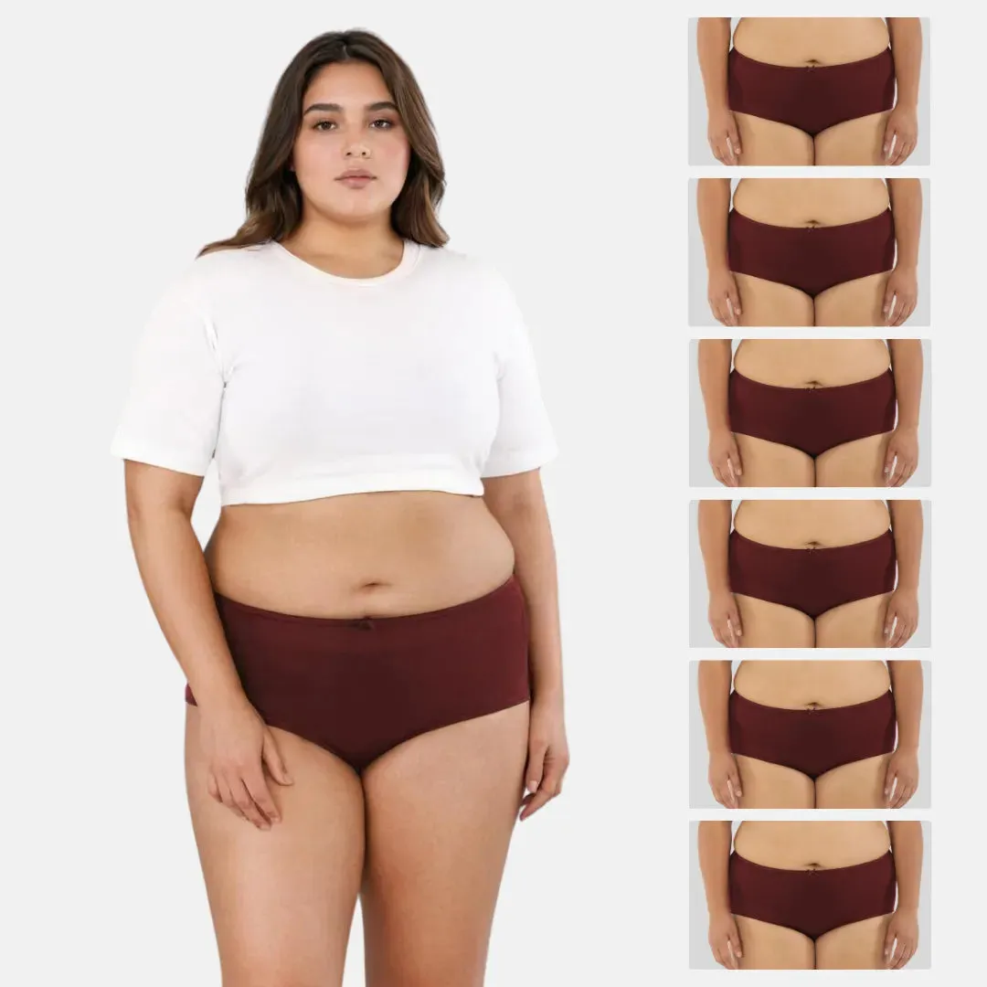 Plus Size BrZee Hipsters | Breathable & Flexible Fit | No Visible Panty Lines | Pack Of 6