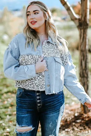 Plus Size Leopard Raw Hem Distressed Denim Jacket