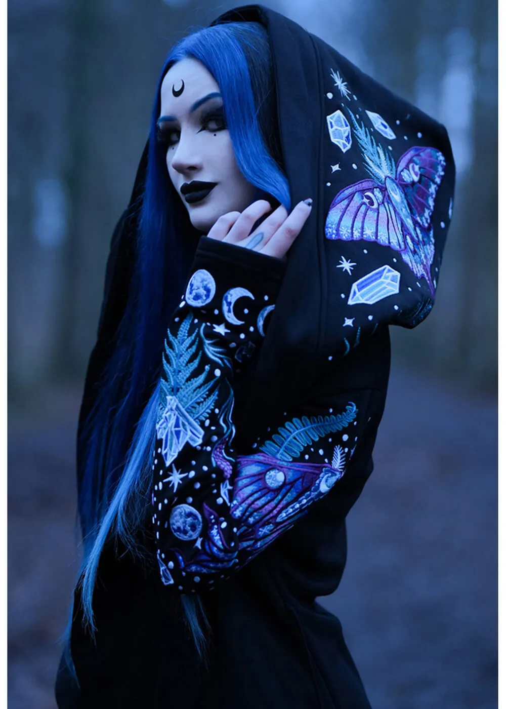 Restyle Enchanted Forest Moth Fern Embroidery Hoodie Black