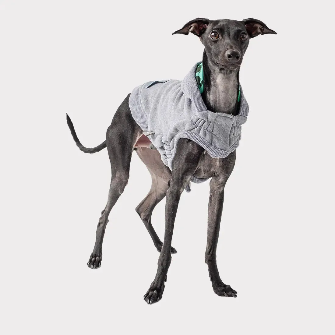 Reversible Lodge Dog Hoodie