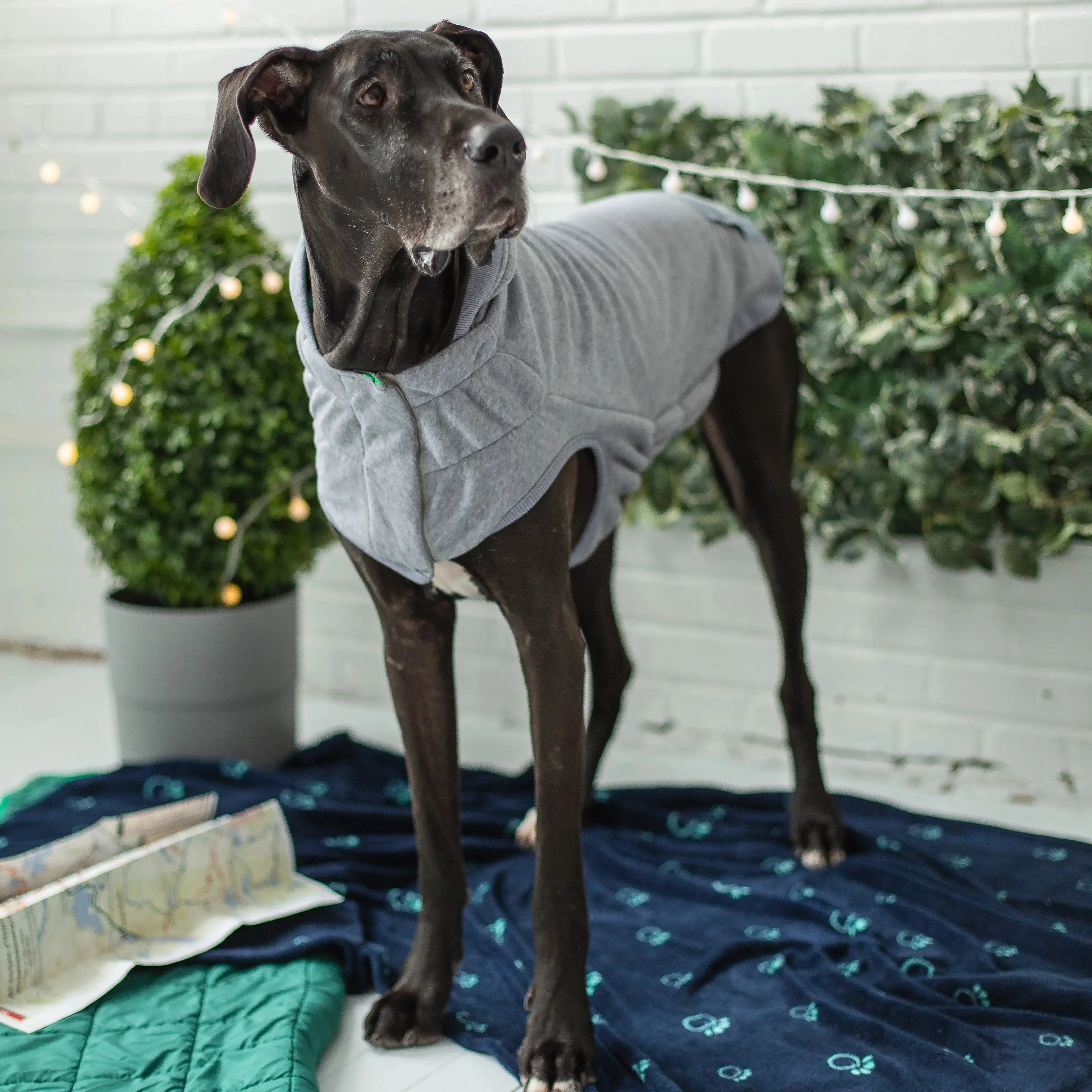 Reversible Lodge Dog Hoodie