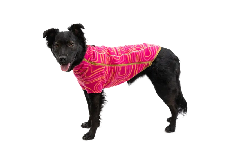 Ruffwear Climate Changer™ Dog Fleece technical, breathable fleece - Strata Pink