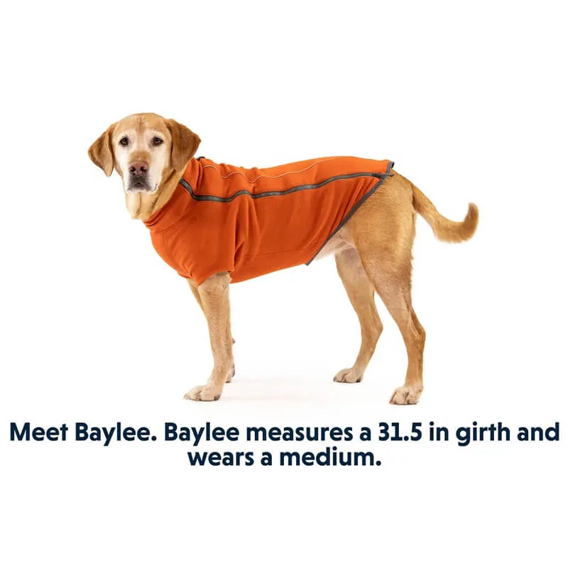 Ruffwear Climate Changer Jacket