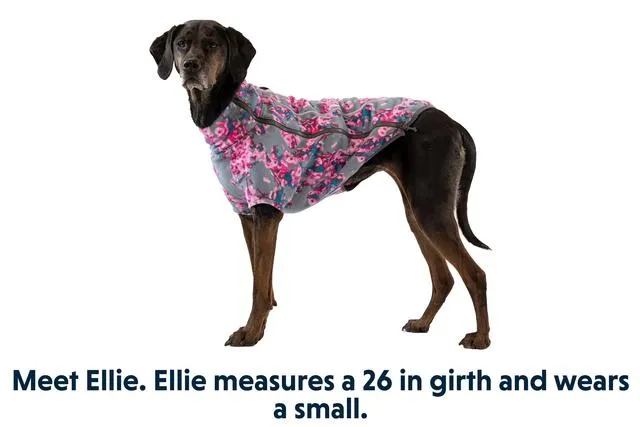 Ruffwear Climate Changer Jacket