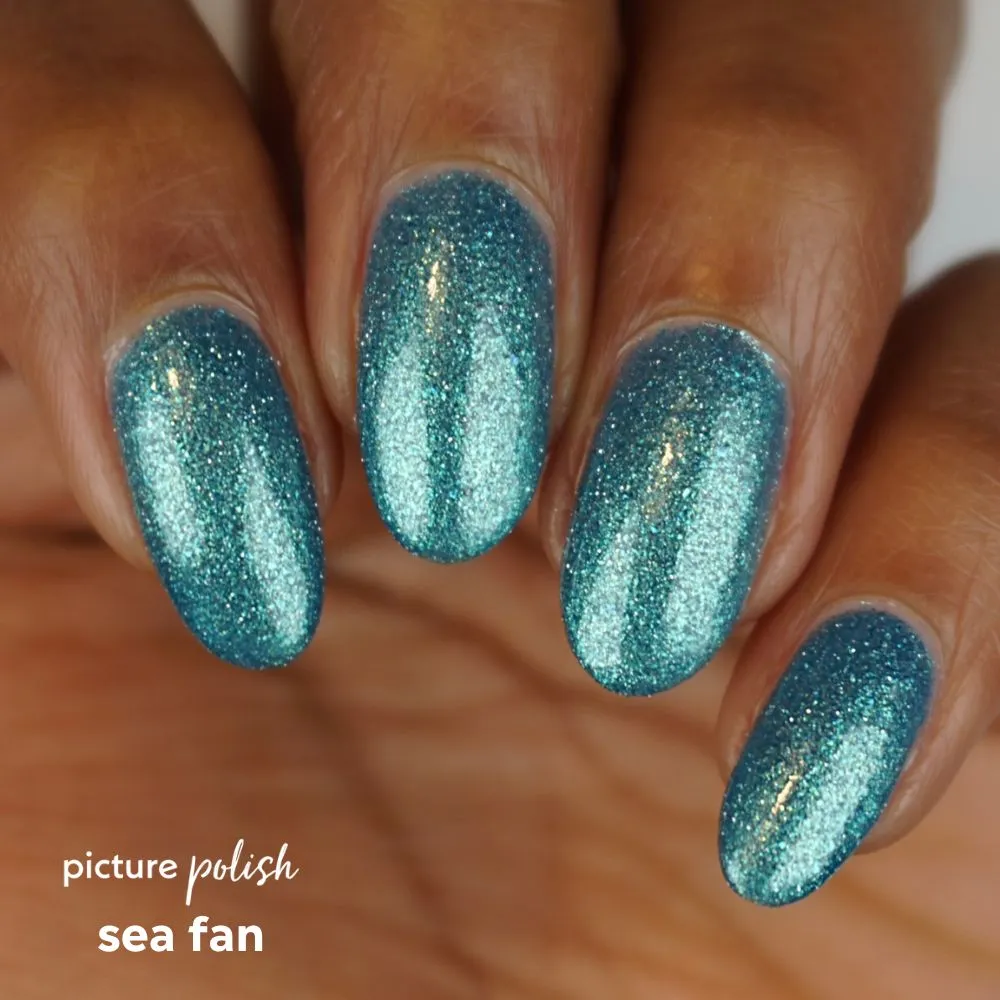 Sea Fan