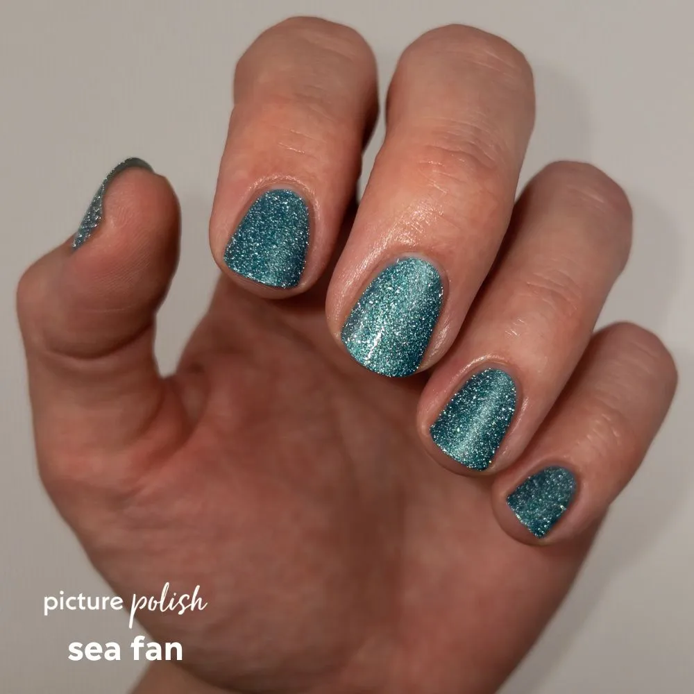 Sea Fan