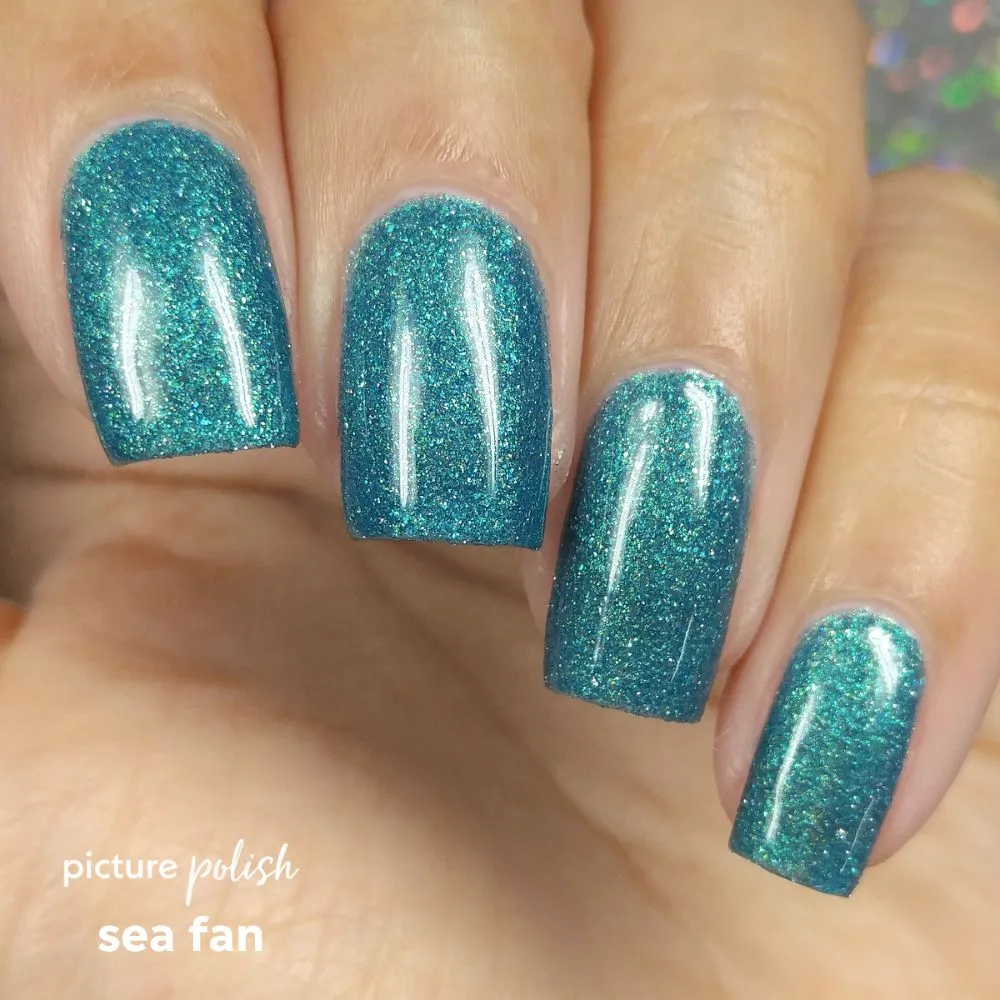 Sea Fan