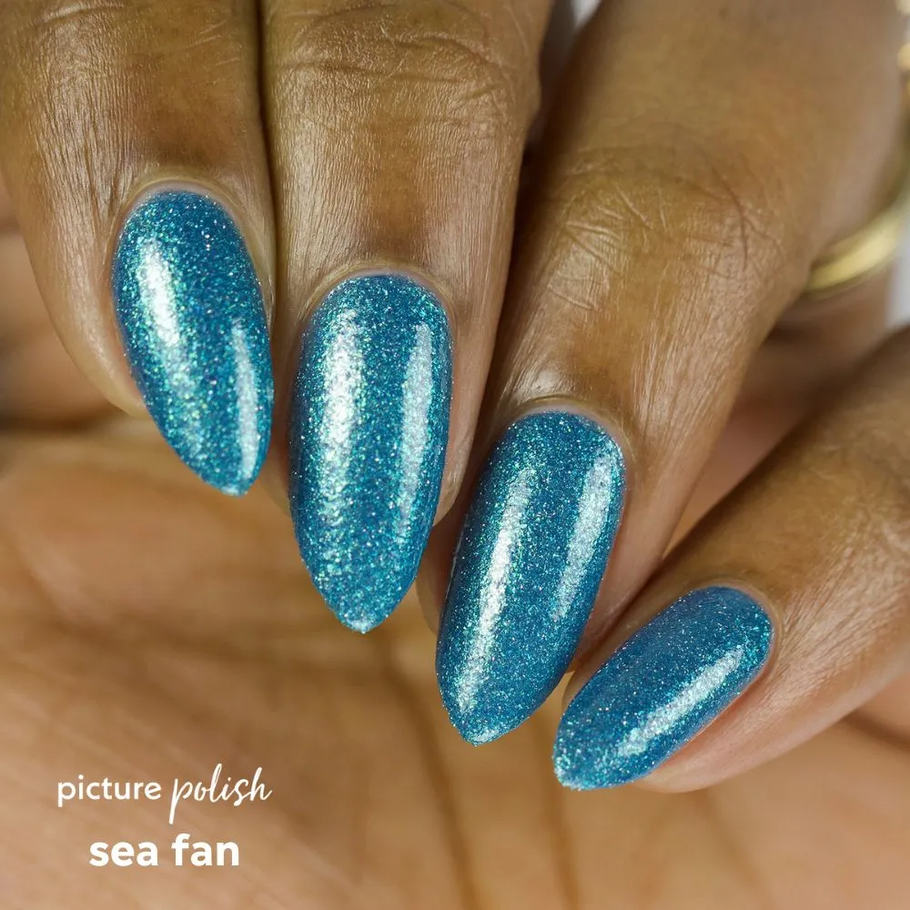 Sea Fan