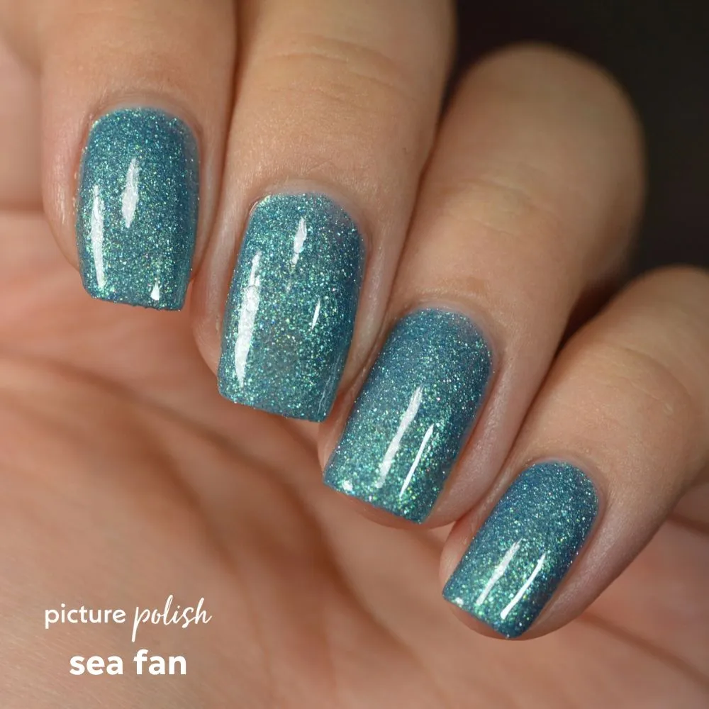Sea Fan