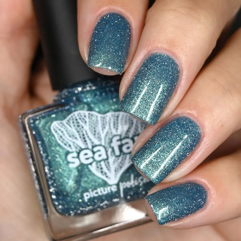 Sea Fan