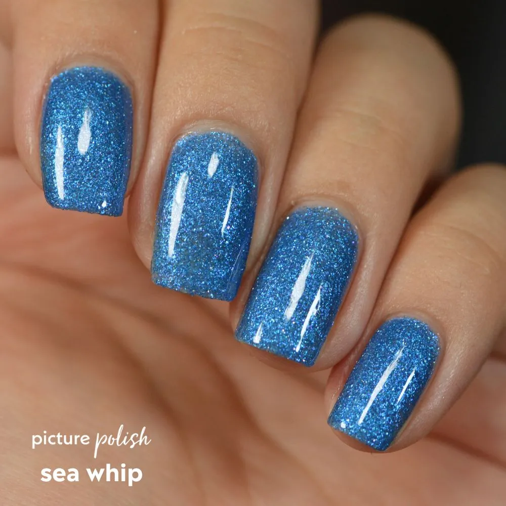 Sea Whip