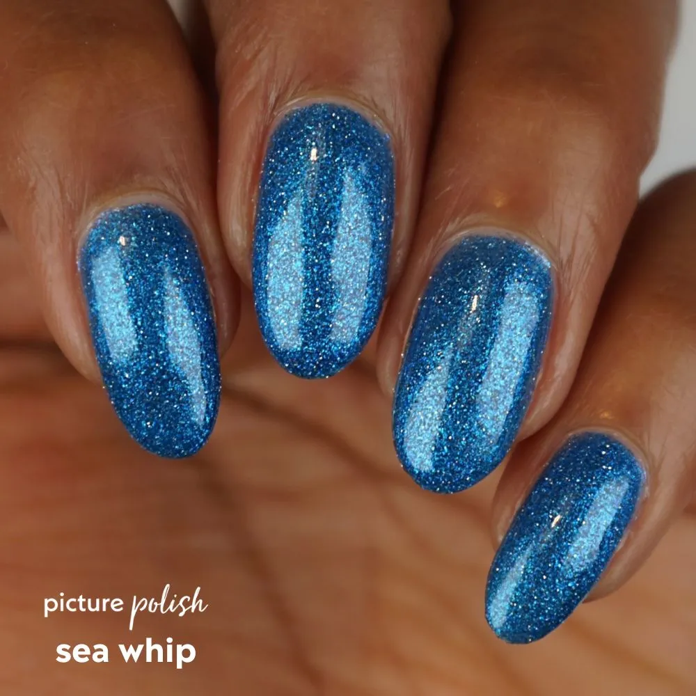 Sea Whip