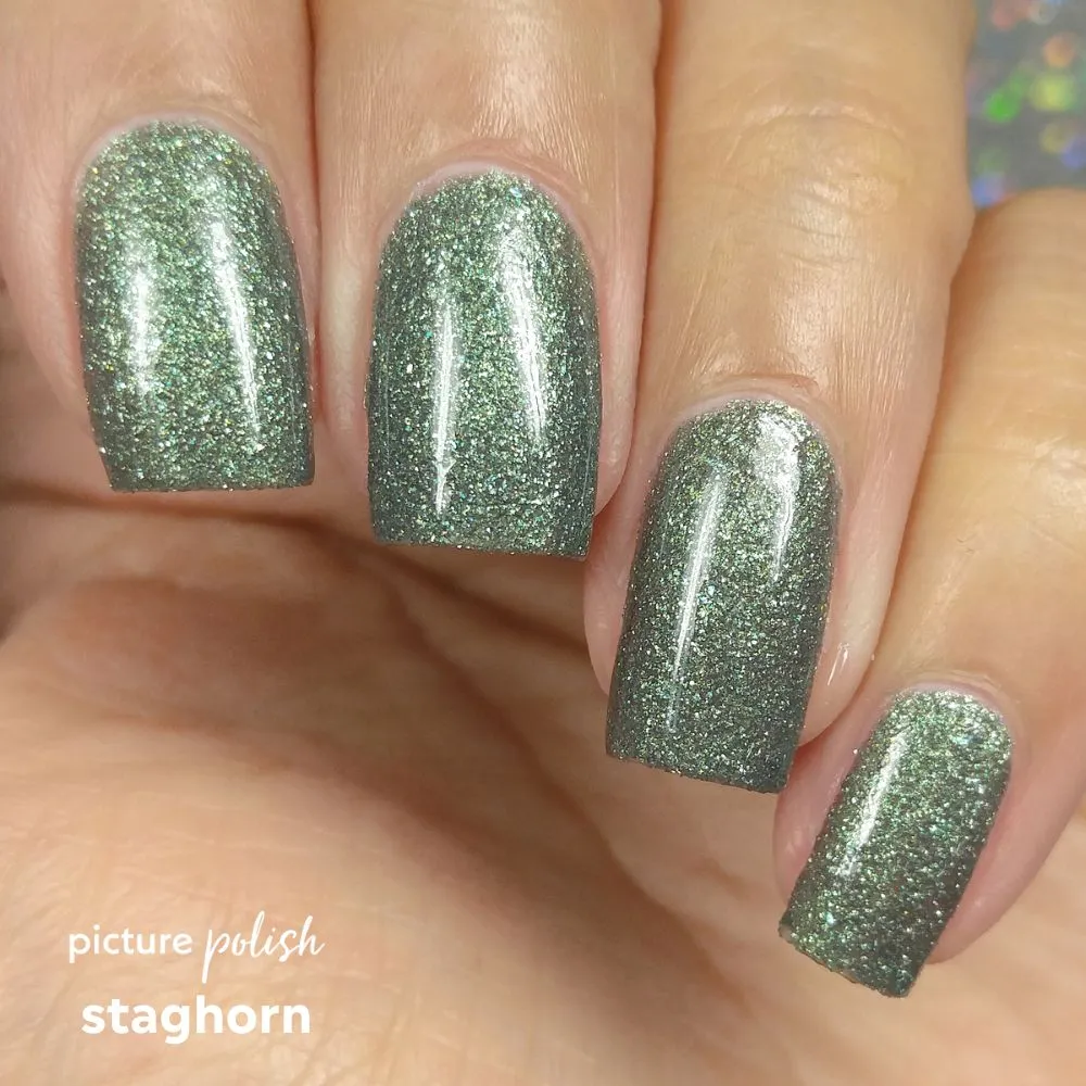 Staghorn