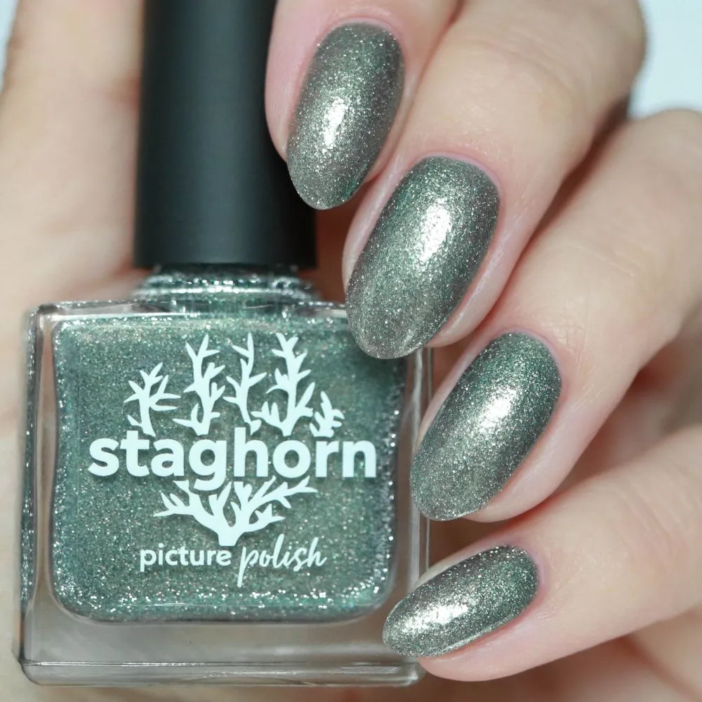 Staghorn