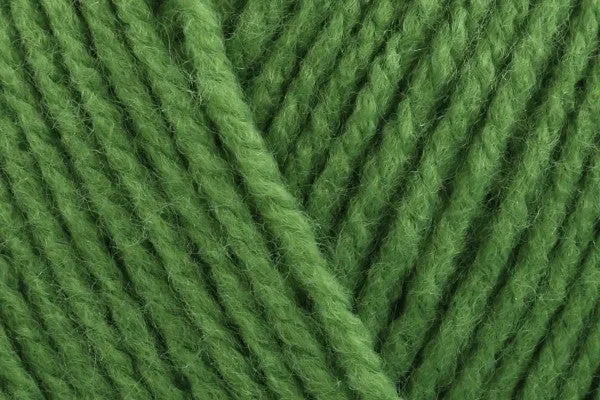 Stylecraft Special DK - Leaf 2176